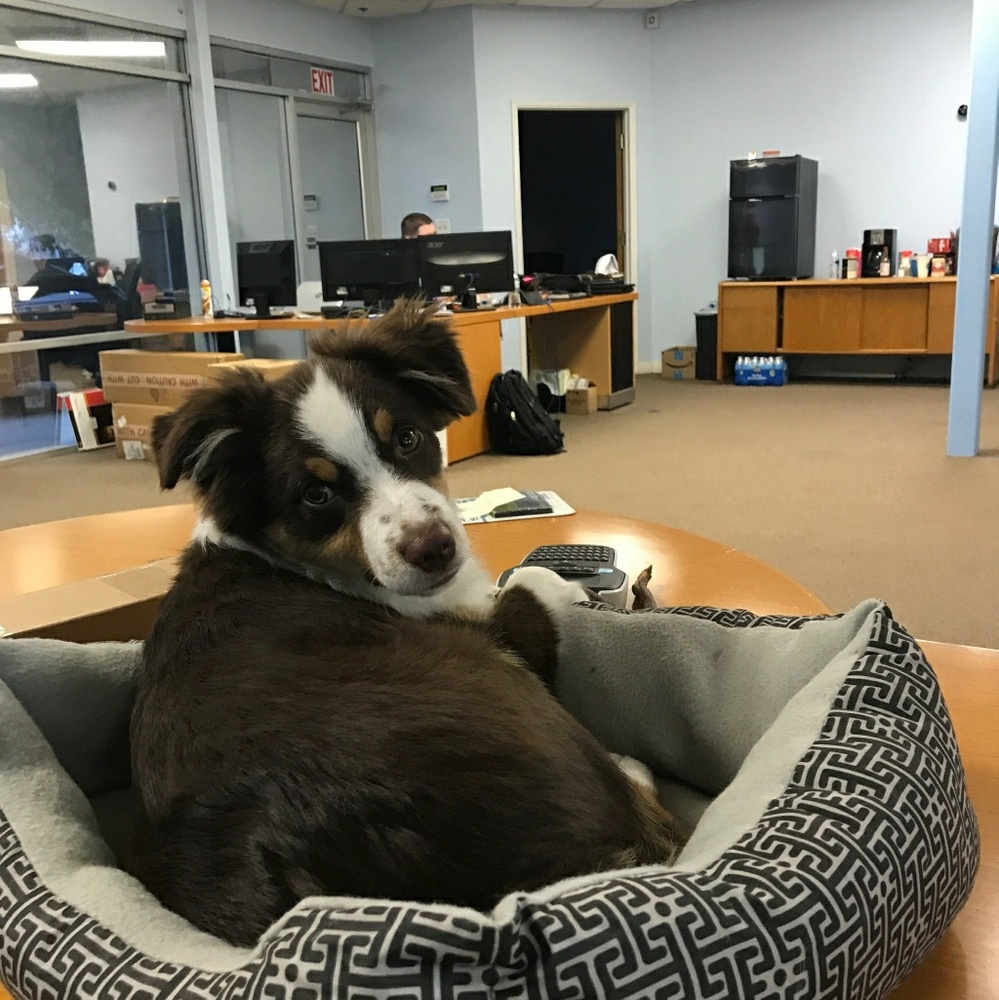 Meet your Posher, Harper